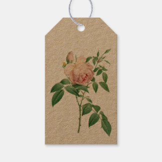 Rosa indica dugrans botanische Abbildung Geschenkanhänger