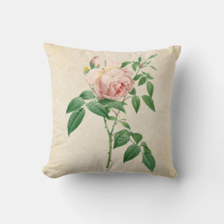 Rosa indica dugrans botanische Abbildung Kissen