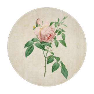 Rosa indica dugrans botanische Abbildung Schneidebrett