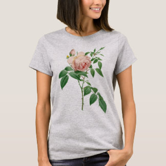 Rosa indica dugrans botanische Abbildung T-Shirt