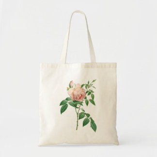 Rosa indica dugrans botanische Abbildung Tragetasche