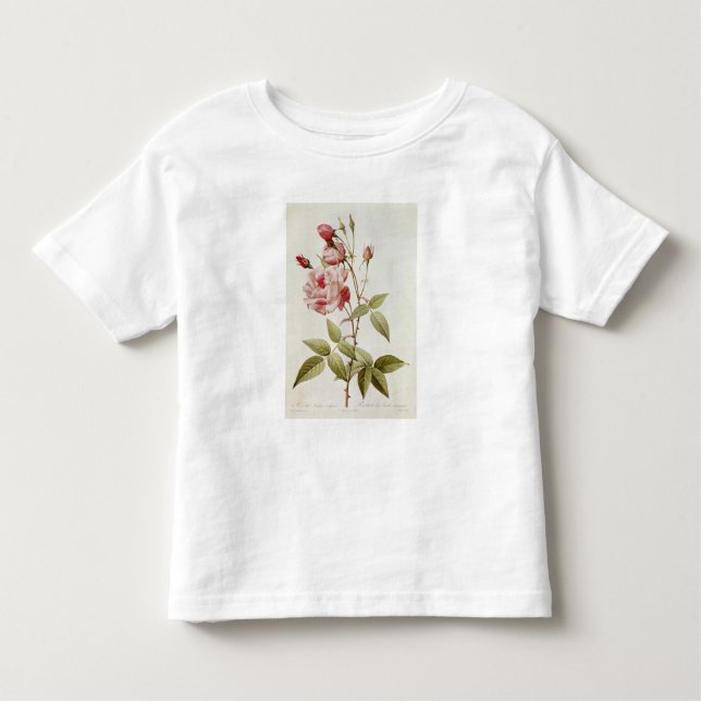 Rosa-Indica gemeines, von 'Les Rosen Kleinkind T-shirt (Vorderseite)