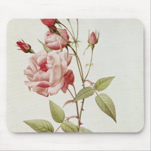 Rosa-Indica gemeines, von 'Les Rosen Mousepad