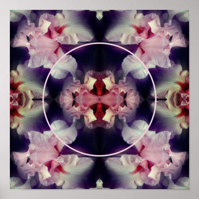 Rosa Iris Blume Rahmen Erstellen Sie Ihr eigenes F Poster (Vorne)