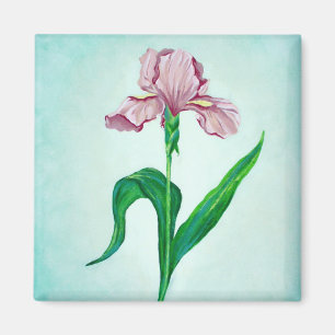 Rosa Irismagnet Magnet