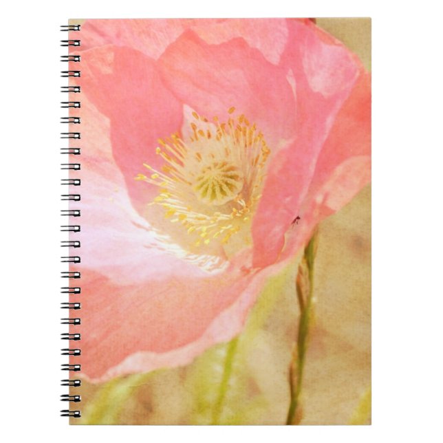 Rosa Island-Mohnblumen-Notizbuch Notizblock (Vorderseite)