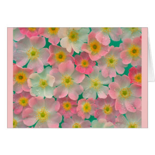 Rosa japanische Anemonen-Karte