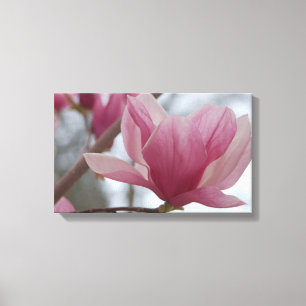 Rosa japanische Magnolia Canvas Print Leinwanddruck