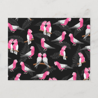 Rosa Kakadu-Vogelmuster Postkarte