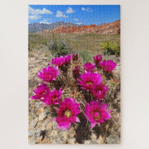 Rosa Kakteen-Blume in Red Rock Canyon, NV Puzzle