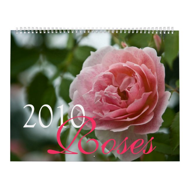 Rosa Kalender der Rosen-2010 (Titelbild)