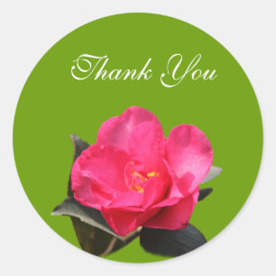 Rosa Kamelie Blume danke Ihnen Aufkleber