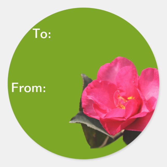 Rosa Kamelie Blume Weihnachtsgeschenk-Aufkleber Runder Aufkleber (Vorderseite)