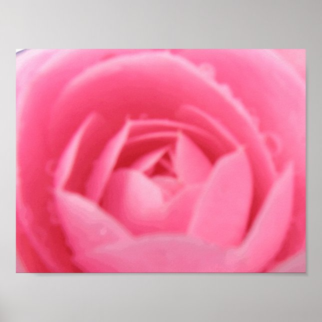 Rosa Kamelie Poster (Vorne)