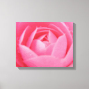 Rosa Kamelien Blume Canvas Print Leinwanddruck