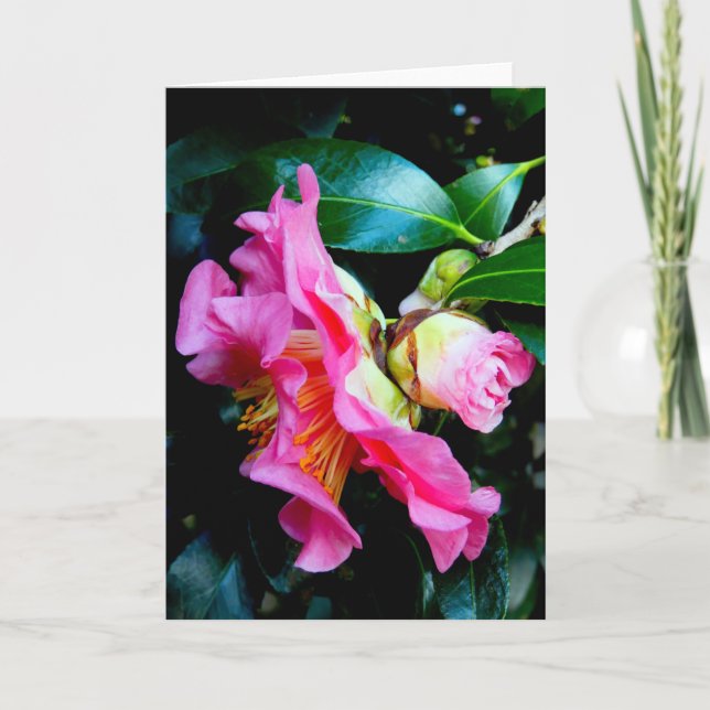 "Rosa Kamelien." Grußkarte Karte (Vorderseite)