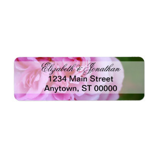 Rosa Kamelien und Hochzeit von Ribbon