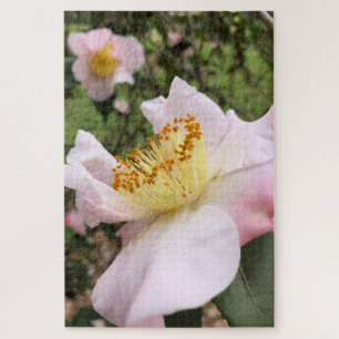 Rosa Kamelienblüten-Blumen-Puzzle Puzzle