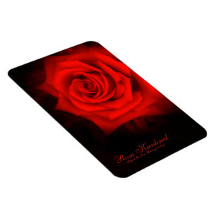Rosa Kardinal [Flex Foto Magnet] Magnet