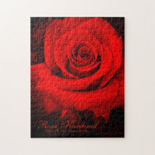 Rosa Kardinal [Puzzle (252 Stück)] Puzzle