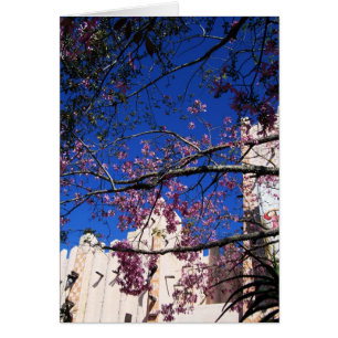 Rosa Karte des blühenden Baums