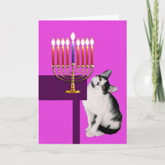 Rosa Katze und Menorah Chanukka Karte