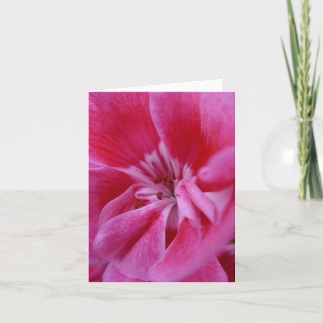 Rosa Keimannotecard Karte (Vorderseite)