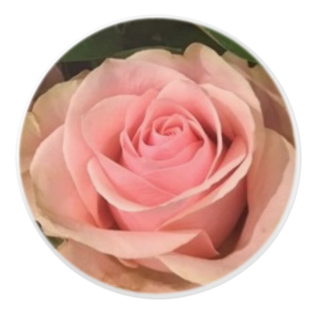 Rosa Keramik Pull Keramikknauf (Vorderseite)