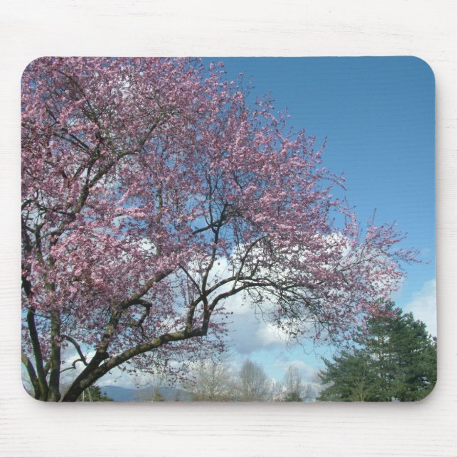 Rosa Kirschbaum und blauer Himmel, weiße Wolken Mousepad (Vorne)