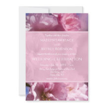 Rosa Kirschbaumblüten Frühjahrshochzeit