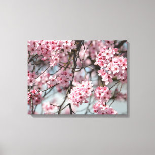 Rosa Kirschblossom Blume Baum Leinwanddruck