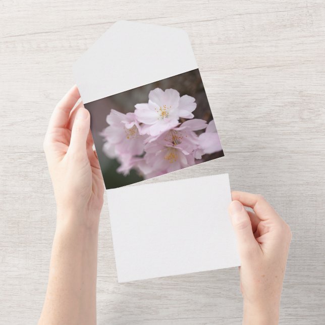 Rosa Kirschblüte All In One Einladung (Abreißtisch)