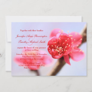 Rosa Kirschblüte Blume Hochzeitsreise Einladung
