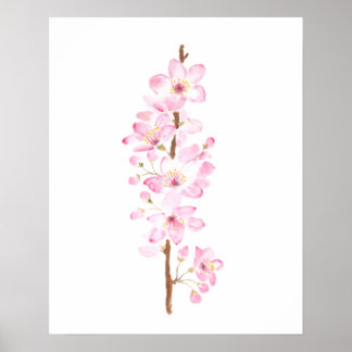 Rosa Kirschblüte Rosa Sakura Aquarellmalerei Poster