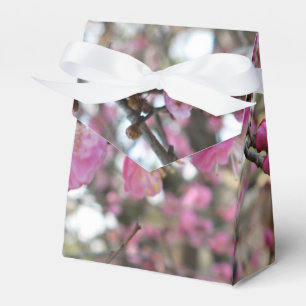 Rosa Kirschblüte / Sakura / サクラ(桜) Geschenkschachtel