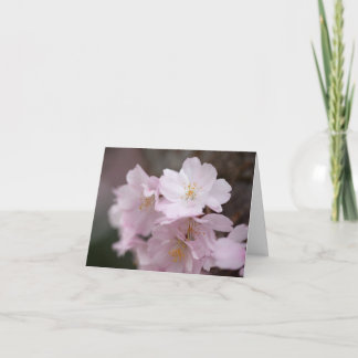 Rosa Kirschblüten Dankeskarte