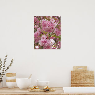 Rosa Kirschblüten Floral Poster