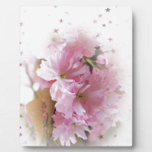 rosa Kirschblüten. Florale Foto Kunst. Fotoplatte