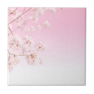 Rosa Kirschblüten-Frühlingsserenität Fliese