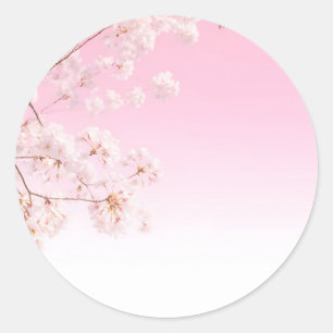 Rosa Kirschblüten-Frühlingsserenität Runder Aufkleber