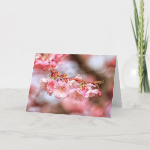 Rosa Kirschblüten im Frühling Karte