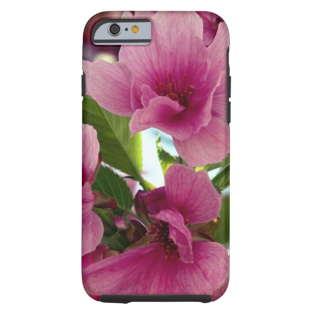 Rosa Kirschblüten iPhone 6/6s, stark Case-Mate iPhone Hülle (Rückseite)