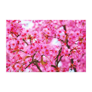 Rosa Kirschblüten Leinwanddruck