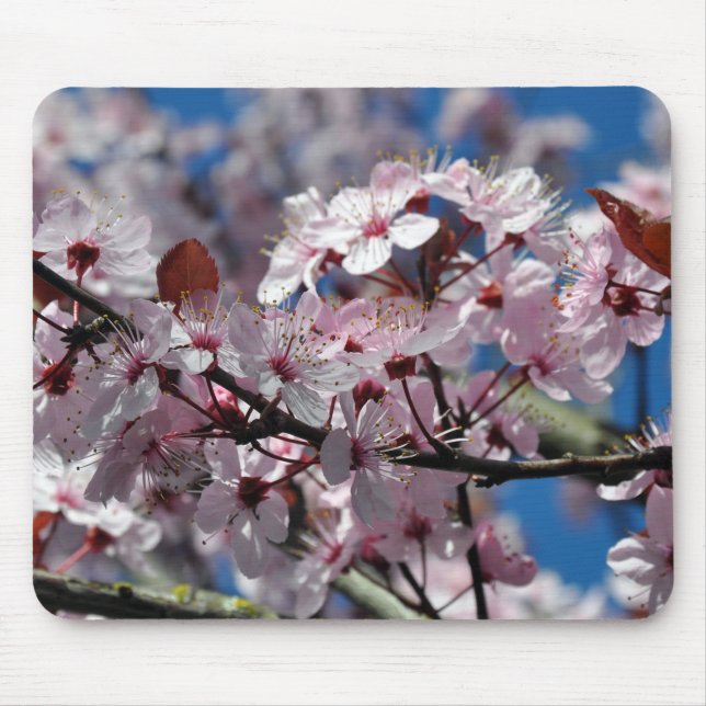 Rosa Kirschblüten Mousepad (Vorne)