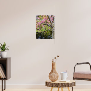 Rosa Kirschblüten neben einem Teich Poster