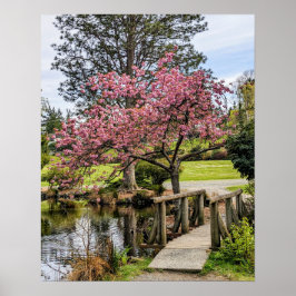 Rosa Kirschblüten und hölzerne Fußgängerbrücke Poster