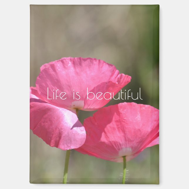Rosa Klatschmohn   Magnet (Vorderseite)