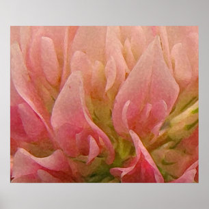 Rosa Klee Poster