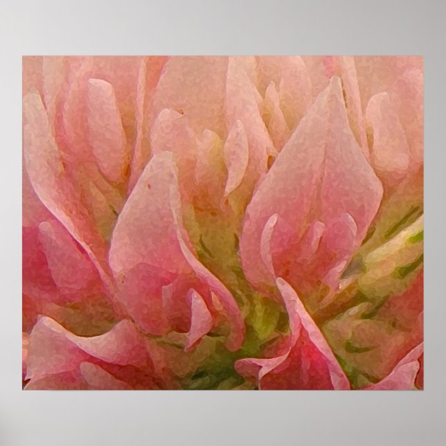 Rosa Klee Poster (Vorne)