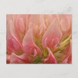 Rosa Klee Postkarte